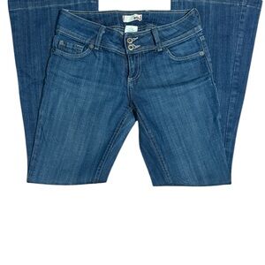 BDG Blue Flare Wide Leg Jeans